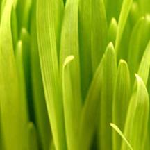 小黑ddos压力测试平台