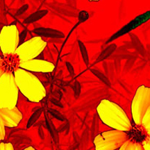 不耗电省电的网页攻击器