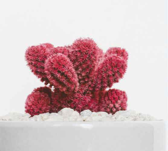 免费ddos在线攻击