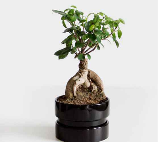 物联网平台的网站压力测试